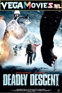 Download  Deadly Descent (2013) Dual Audio {Hindi-English} 480p [300MB] | 720p [1GB]