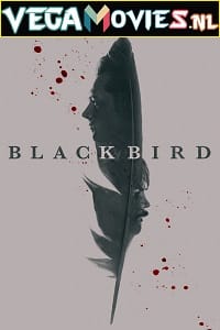 Download  Black Bird (2022) Season 1 [S01E06 Added] [English With Hindi - English Subtitles] Appletv- Original 720p HEVC [250MB] WEB-DL