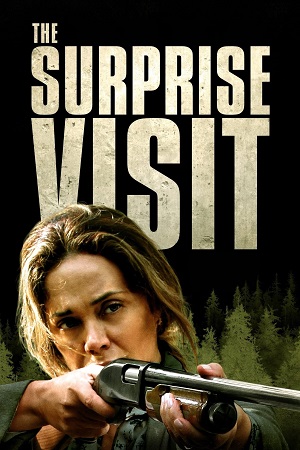 Download  The Surprise Visit (2022) {English with Subtitles} Full Movie WEB-DL 480p [250MB] | 720p [700MB] | 1080p [1.7GB]