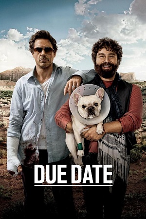 Download  Due Date (2010) Dual Audio {Hindi-English} BluRay 480p [350MB] | 720p [700MB] | 1080p [2GB]