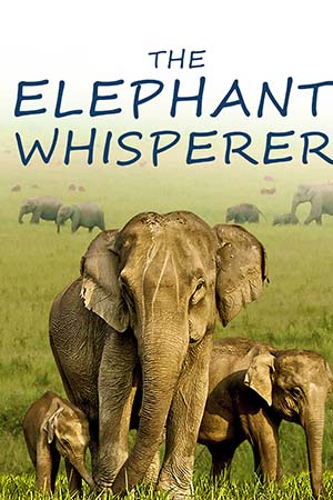 Download  The Elephant Whisperers (2022) WEB-DL Dual Audio {Hindi - English} 480p [300MB] | 720p [470MB] | 1080p [1.4GB] | 2160p 4K [4.1GB]